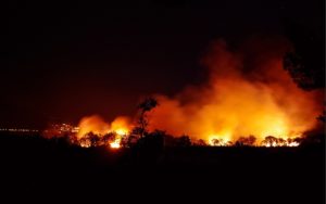 Feux de forêt : quelle situation en France ?